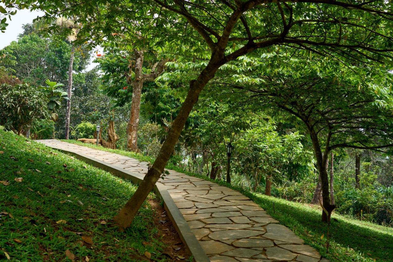 Haze And Kites Resort مونار المظهر الخارجي الصورة