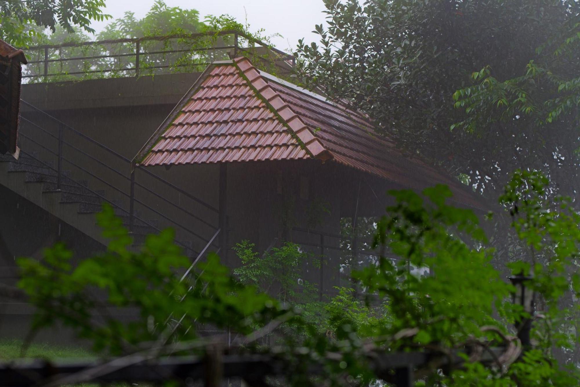 Haze And Kites Resort مونار المظهر الخارجي الصورة